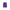 SAVIOR PURPLE MESH SHORT