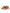 Saucony x Jae Tips Triumph Flowers Grow Uptown -  Virginia Creeper
